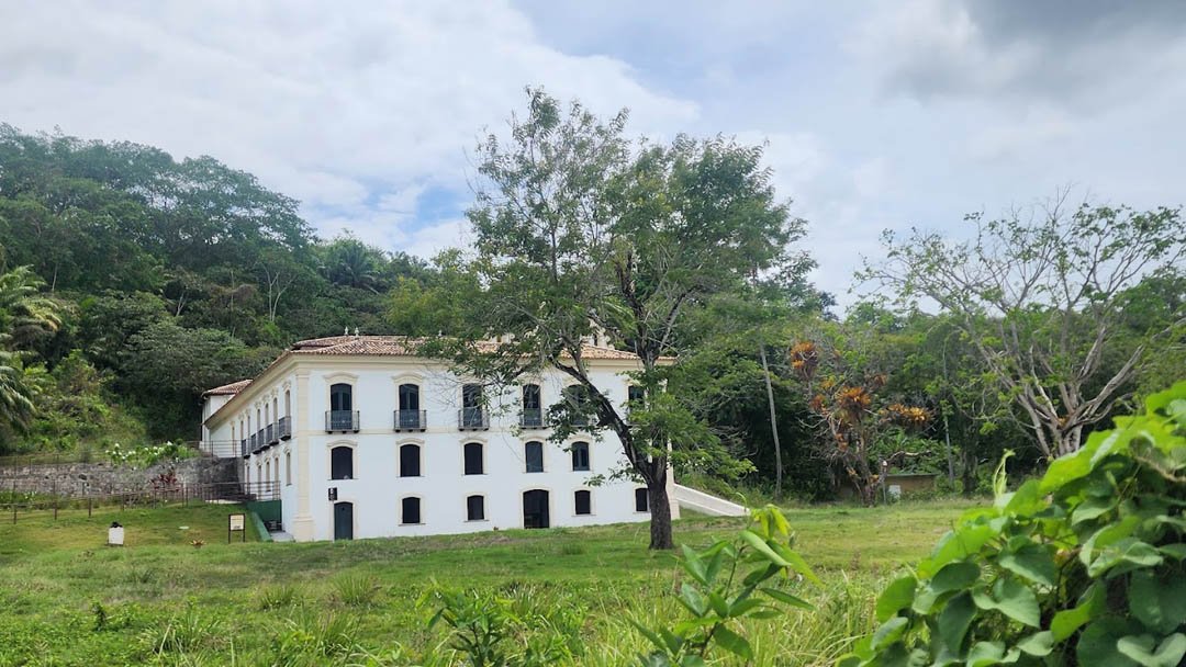 axxo-museu-wanderley-de-pinho